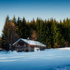 Winter im bay. Wald - Bayern673