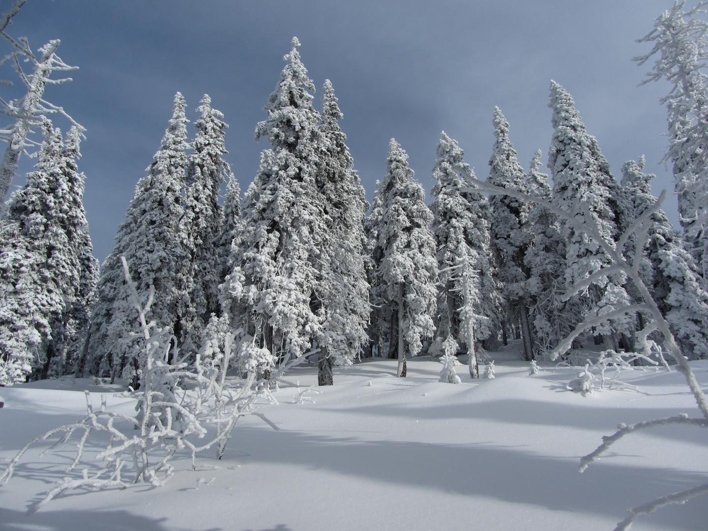 Winter im Bayerischen Wald