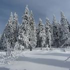 Winter im Bayerischen Wald