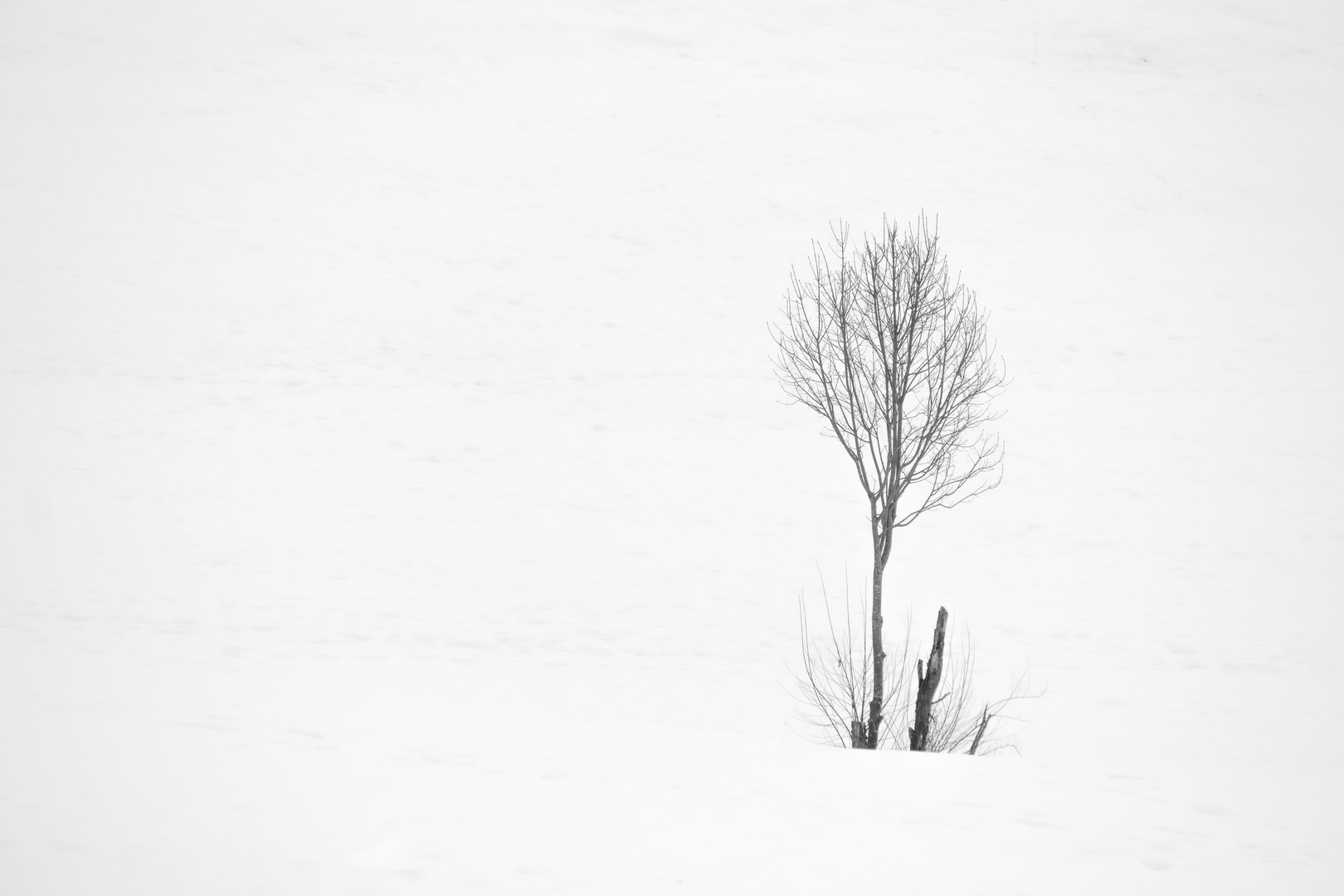 Winter im Bayerischen Wald