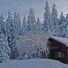 Winter im Bayerischen Wald