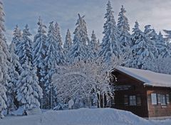 Winter im Bayerischen Wald