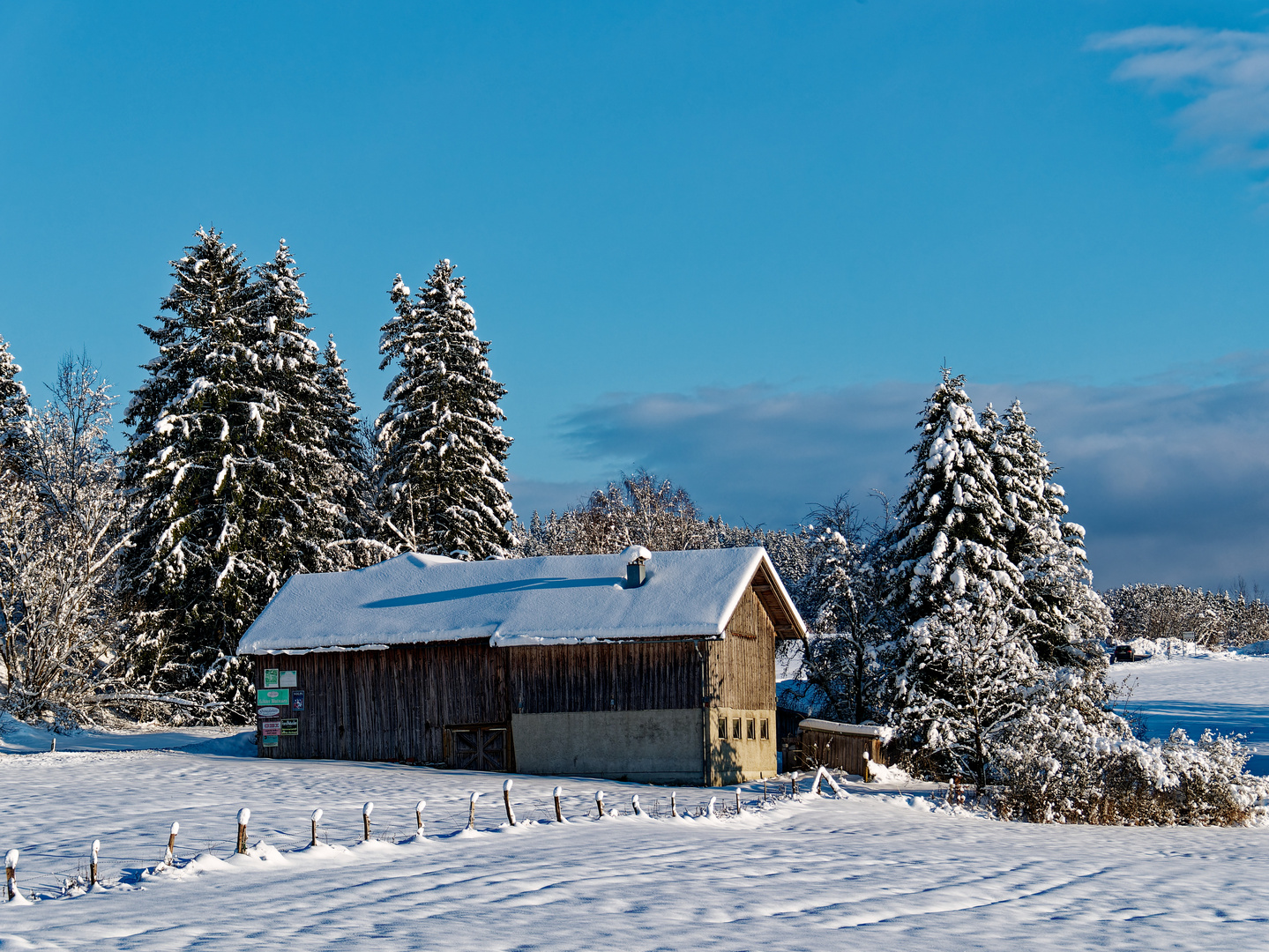 Winter im Bayerischen Wald