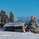 Winter im Bayerischen Wald