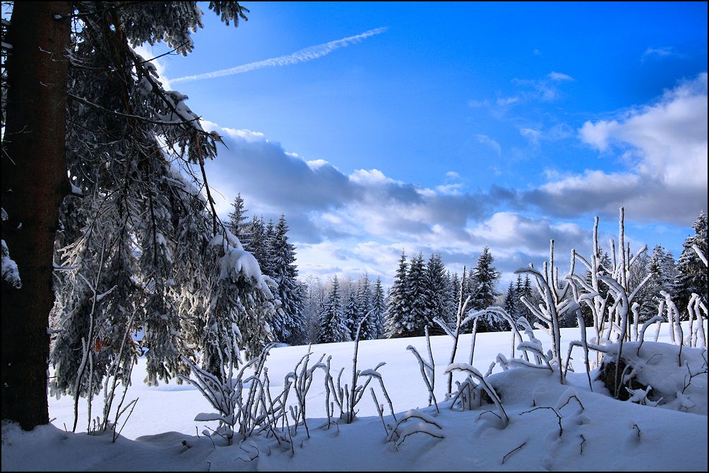 winter im bayerischen wald...