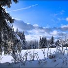 winter im bayerischen wald...