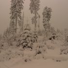 Winter im Bayerischen Wald