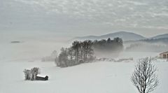 Winter im bayerischen Wald