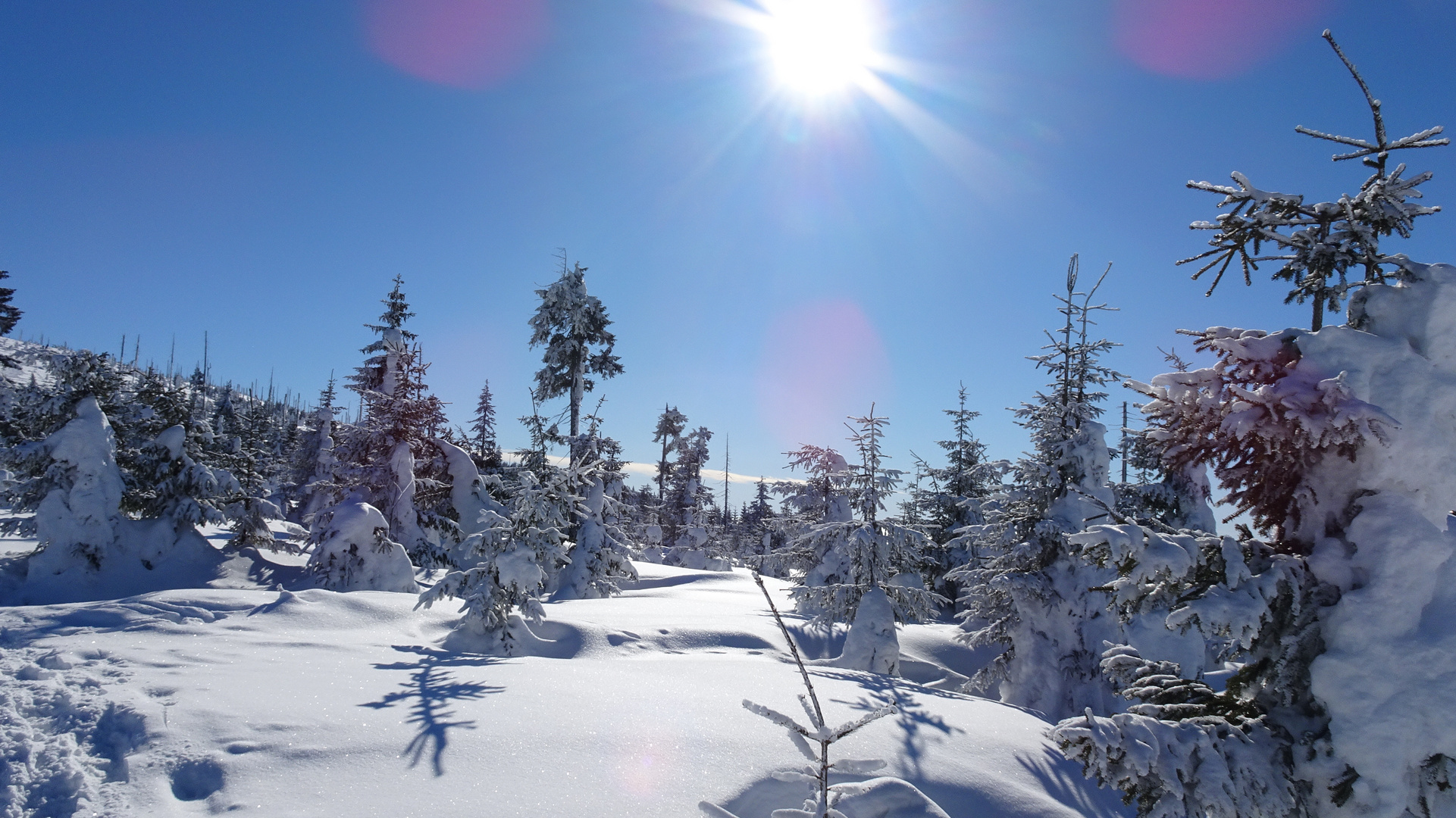 Winter im Bayerischen Wald