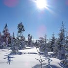 Winter im Bayerischen Wald