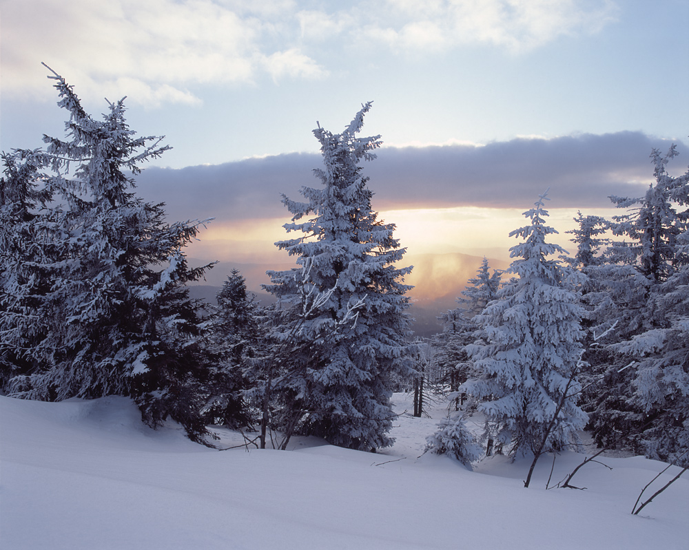 Winter im Bayerischen Wald