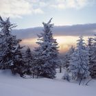 Winter im Bayerischen Wald