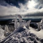 Winter im Bayerischen Wald