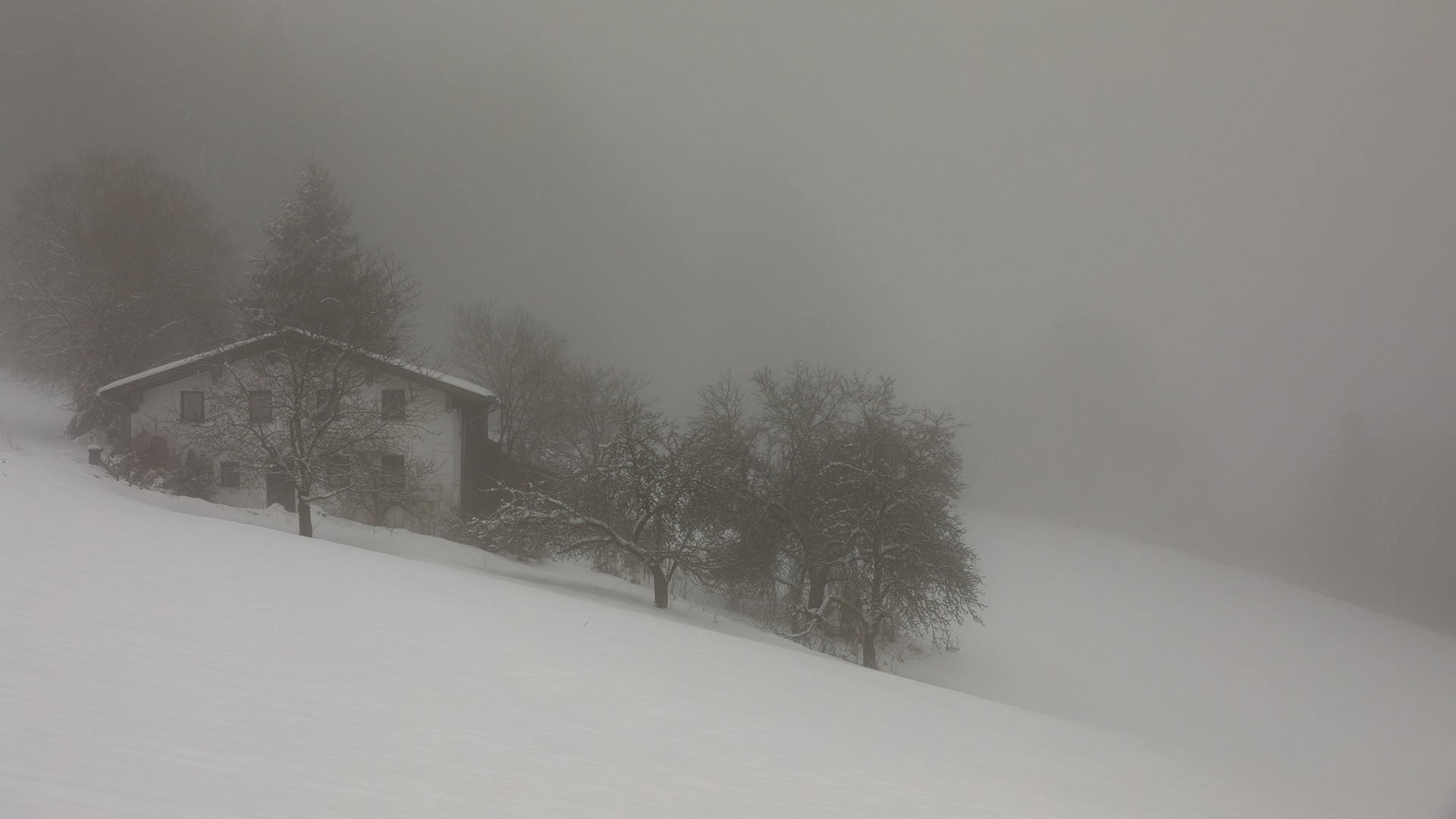 winter im bayerwald