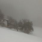 winter im bayerwald