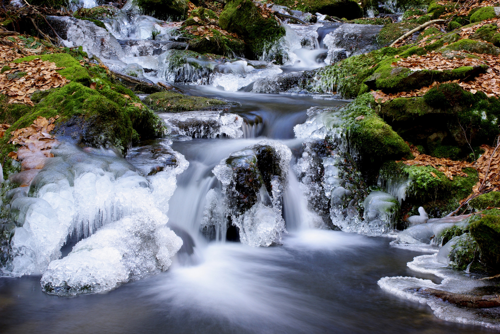 winter im bayerwald