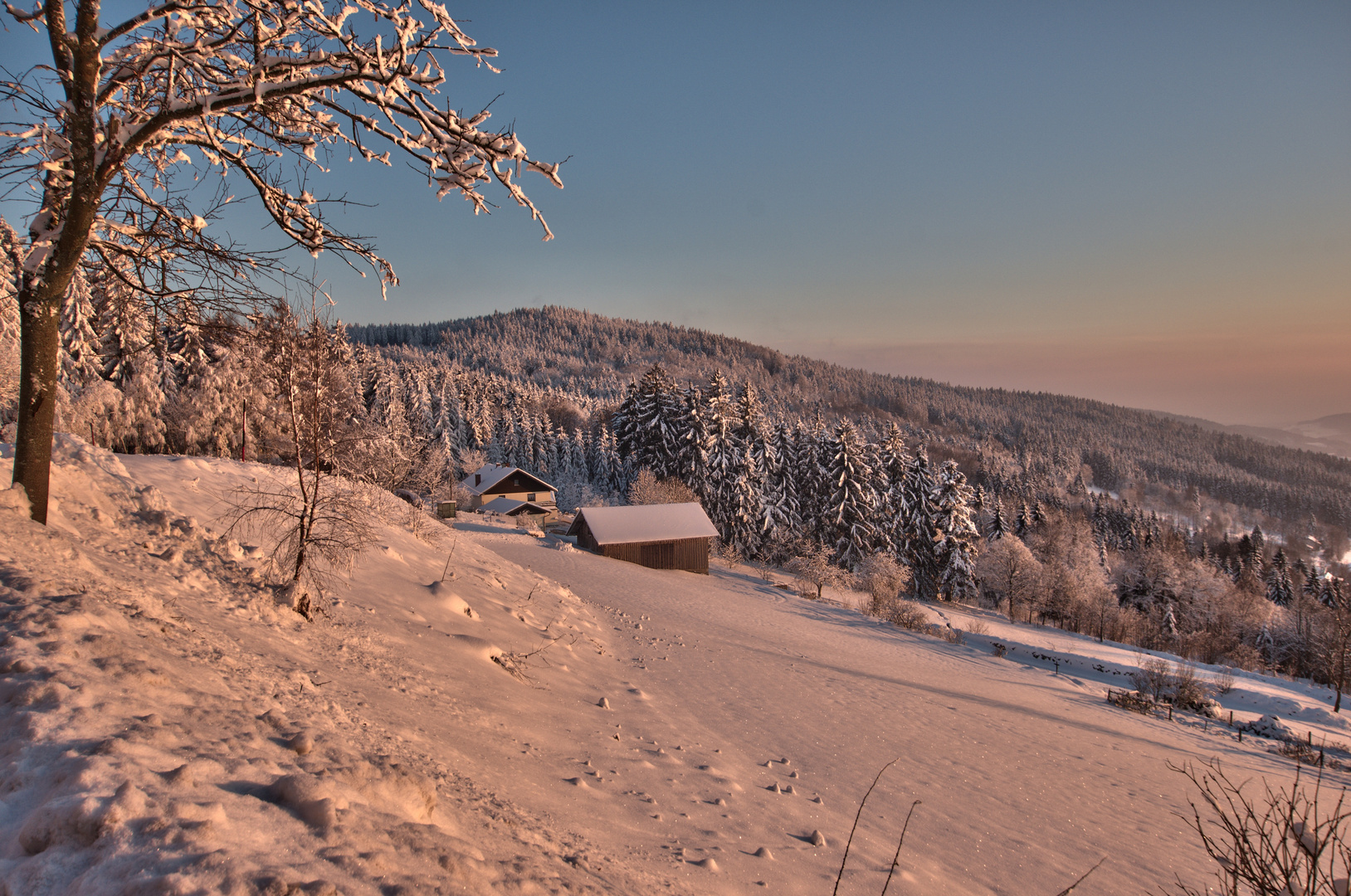 Winter im Bayerwald