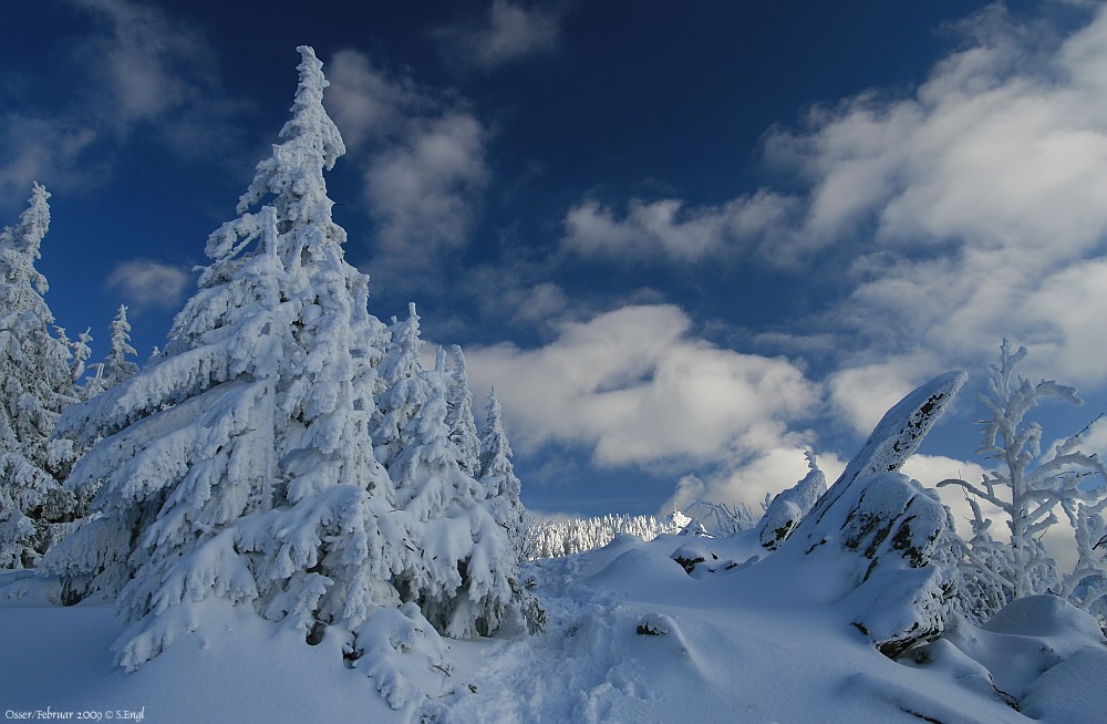 Winter im Bayerwald