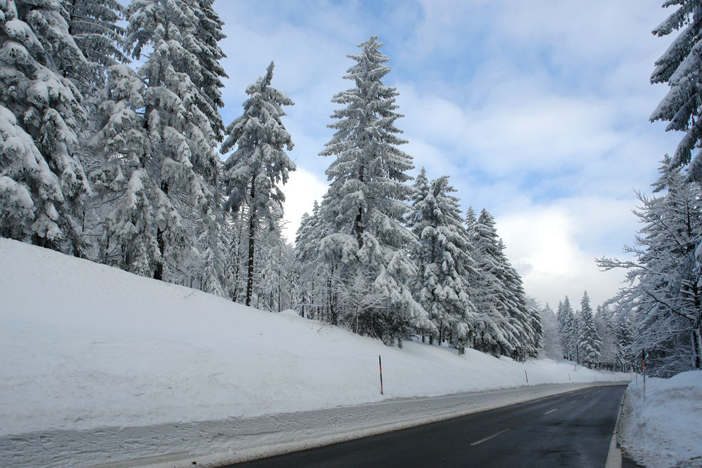 Winter im bayrischen Wald