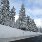 Winter im bayrischen Wald