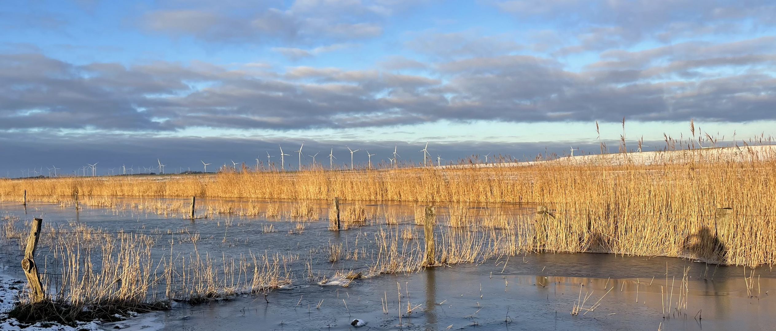 Winter im Beltringharder Koog