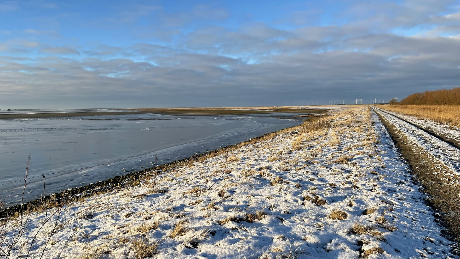 Winter im Beltringharder Koog