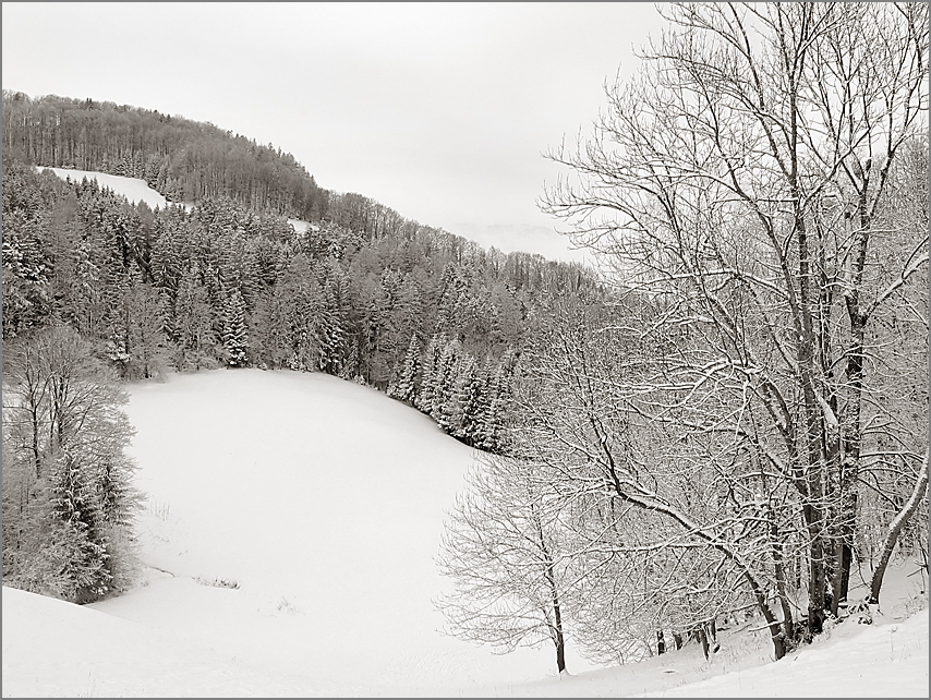 Winter im Berchtesgadener Land