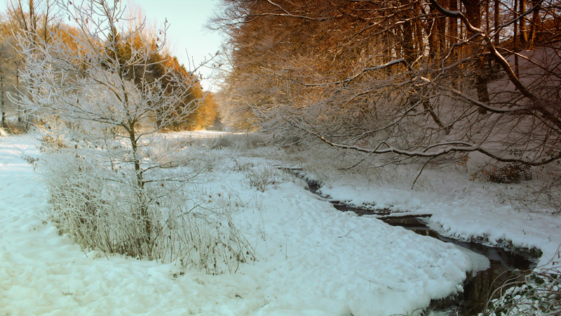 Winter im Bergischen Land