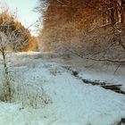 Winter im Bergischen Land