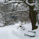 Winter im Bergpark Wilhelmshöhe/Kassel