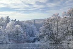 Winter im Berpark Wilhelmshöhe