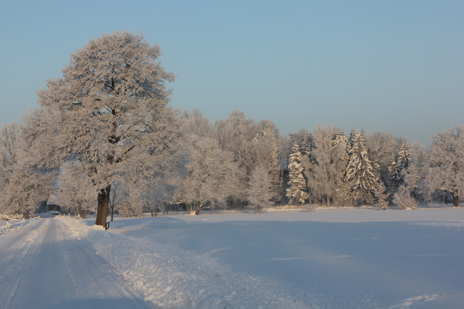 Winter im Biosphärenreservat Oberlausitzer Heide-und Teichlandschaft