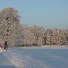 Winter im Biosphärenreservat Oberlausitzer Heide-und Teichlandschaft