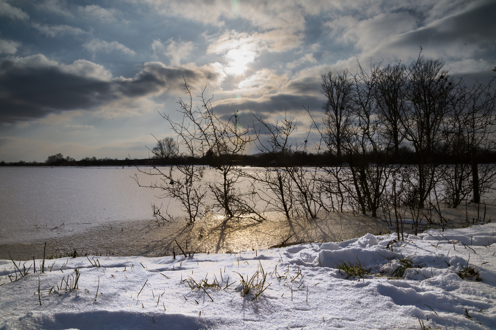 Winter im Biotop