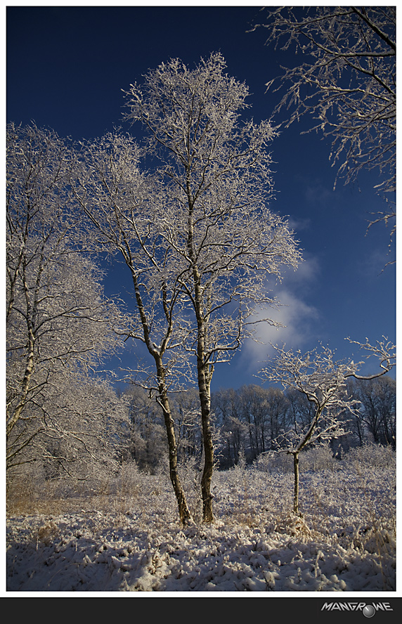 Winter im Blixmoor #1