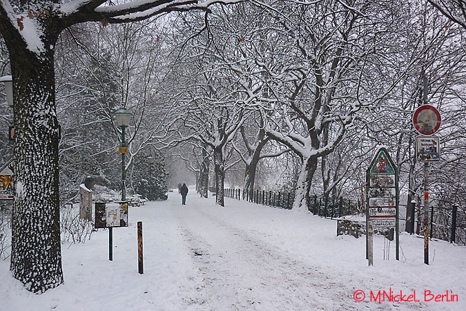 Winter im Böcklerpark in Berlin-Kreuzberg