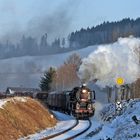 Winter im Böhmerwald