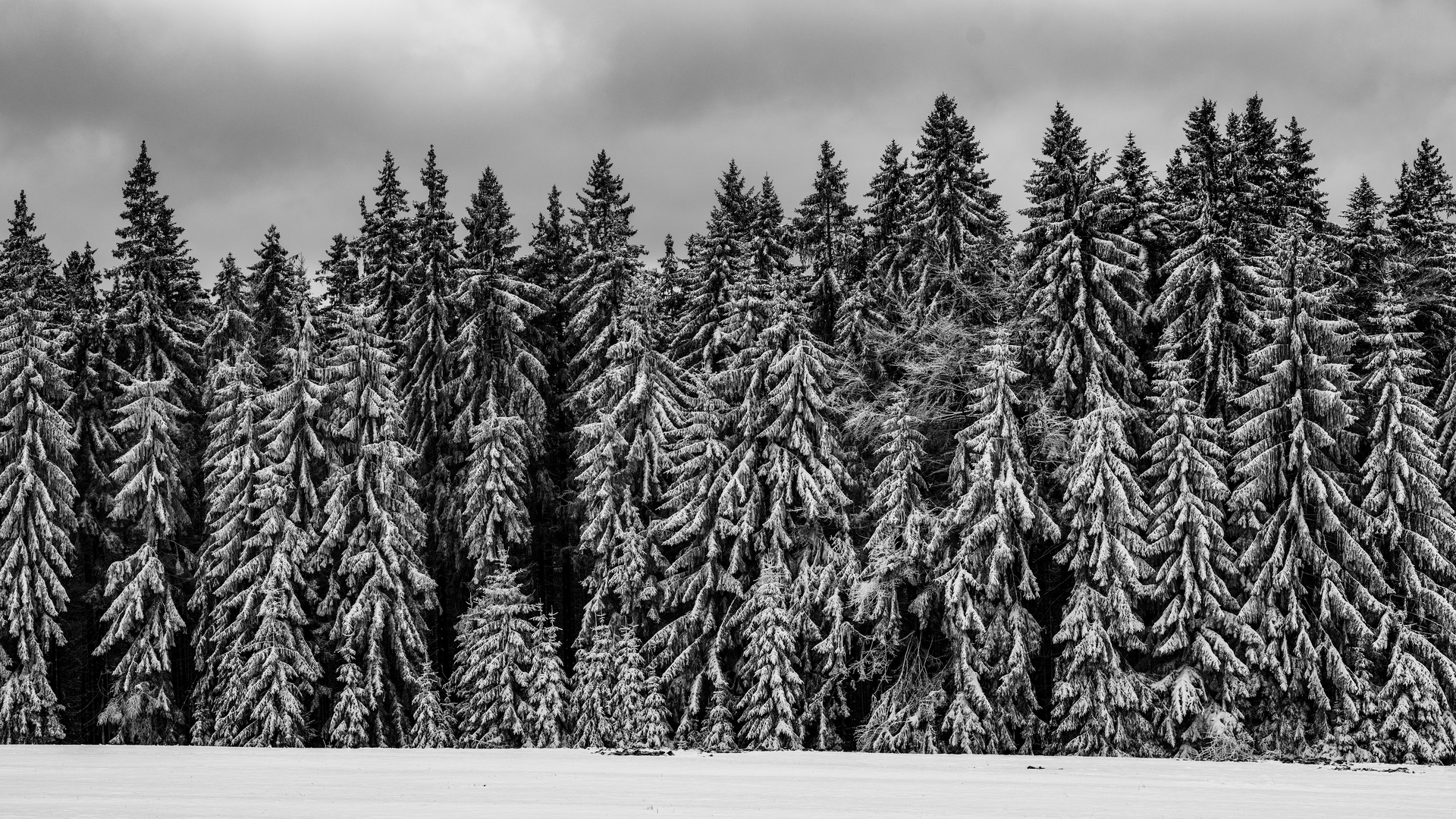 Winter im Böhmerwald (1)