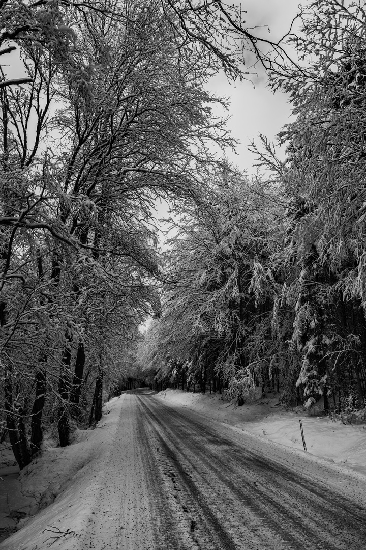 Winter im Böhmerwald (2)