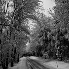 Winter im Böhmerwald (2)