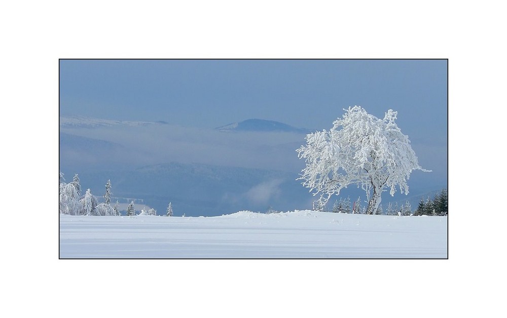 Winter im Böhmerwald