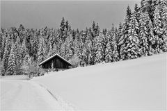 Winter im Böhmerwald