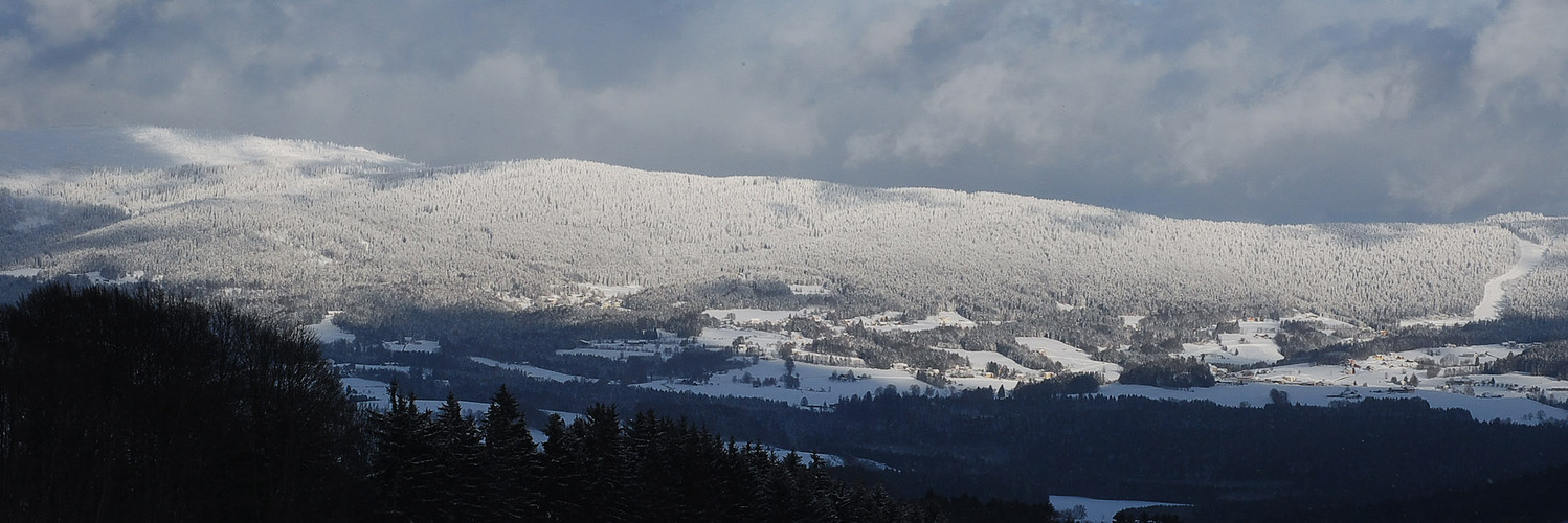 winter im böhmerwald