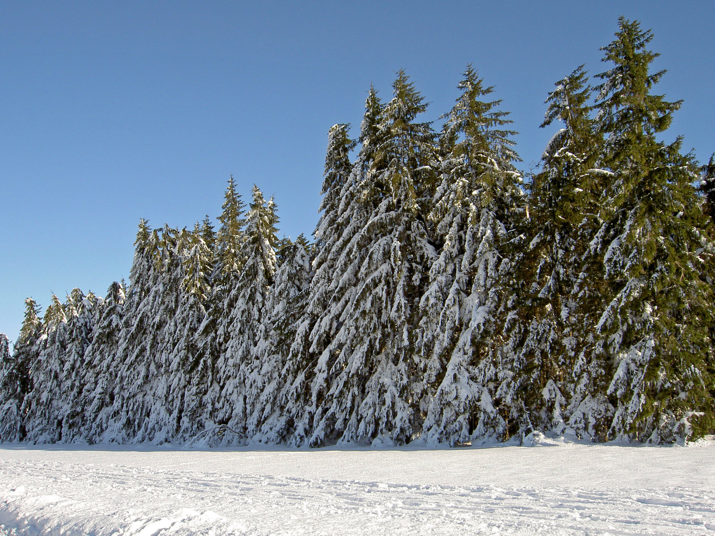 Winter im Böhmerwald