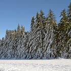 Winter im Böhmerwald