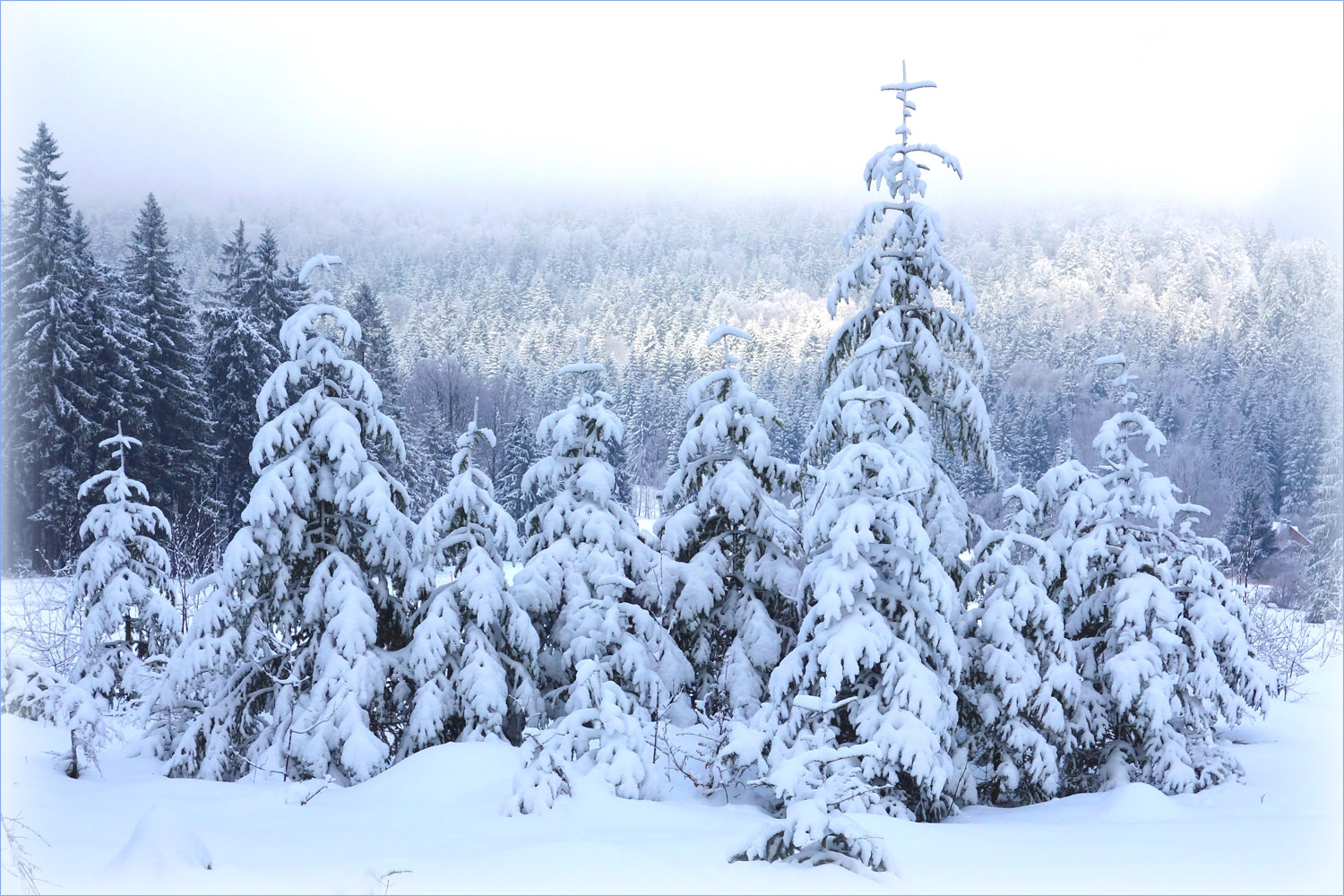 Winter im Böhmerwald