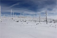 Winter im Böhmerwald II