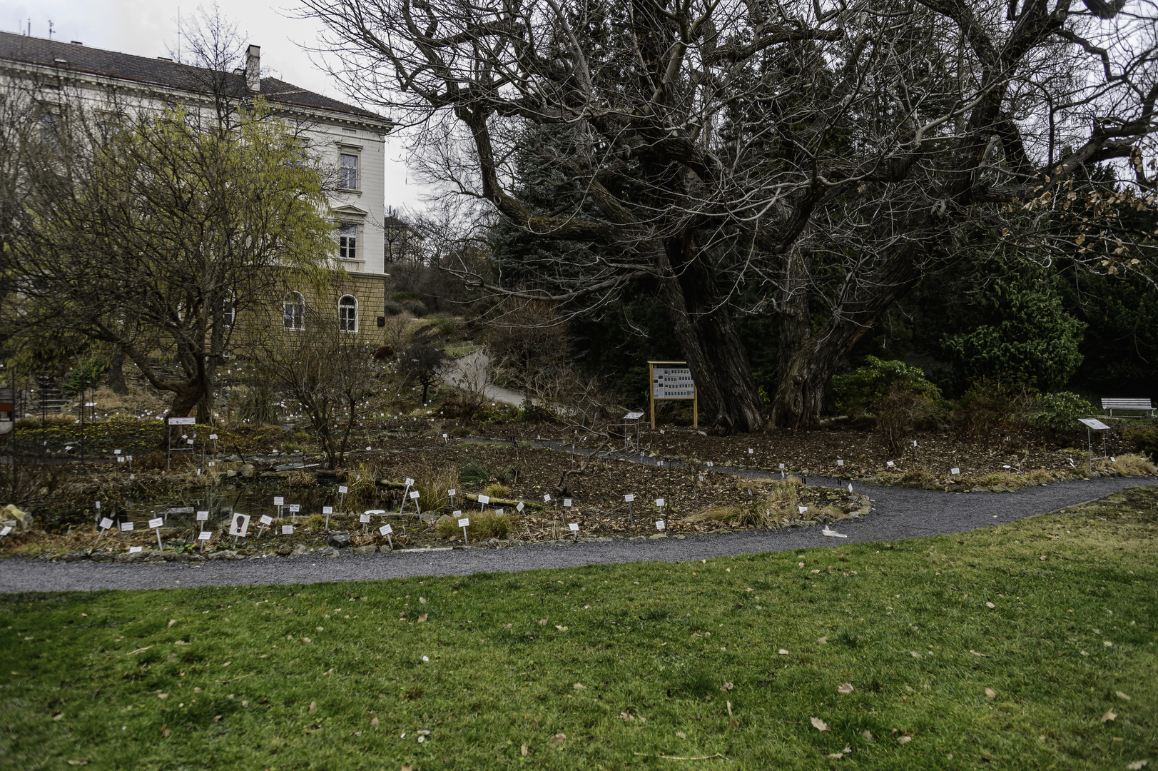 Winter im Botanischen Garten