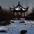 Winter im Botanischen Garten