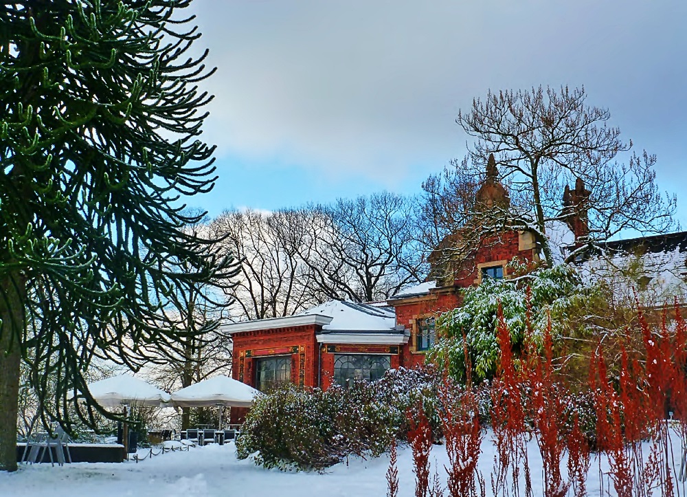 Winter im Botanischen Garten